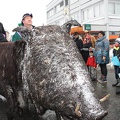 wildsau