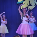 Landesgardegala 2018 am 24.02. in Lustenau