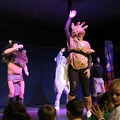 IMG 4856